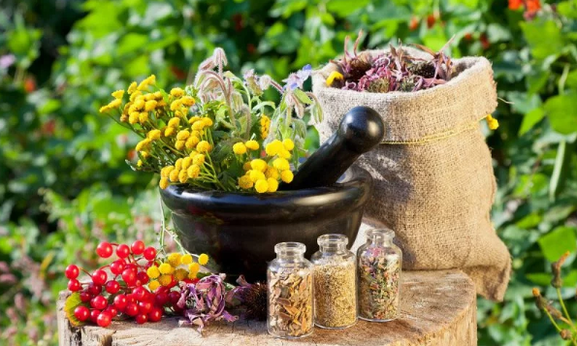 Helminths Herbs